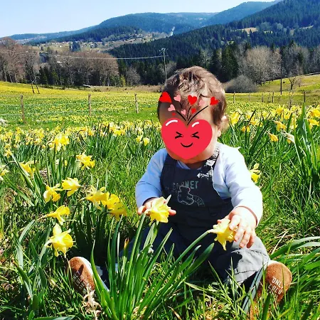 La Ferme Du Badon * Gerardmer