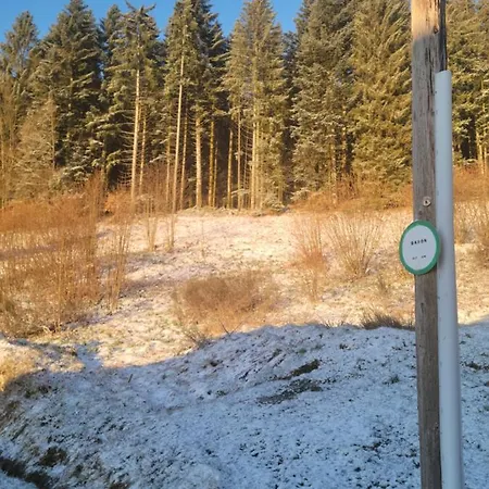 La Ferme Du Badon Apartamento Gérardmer