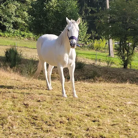 La Ferme Du Badon Apartamento