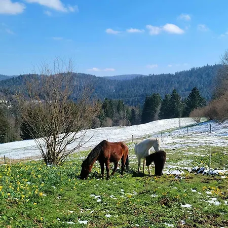 Lägenhet La Ferme Du Badon Gérardmer