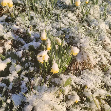 Apartamento La Ferme Du Badon