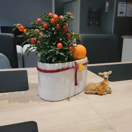 La Ferme Du Badon Апартаменты