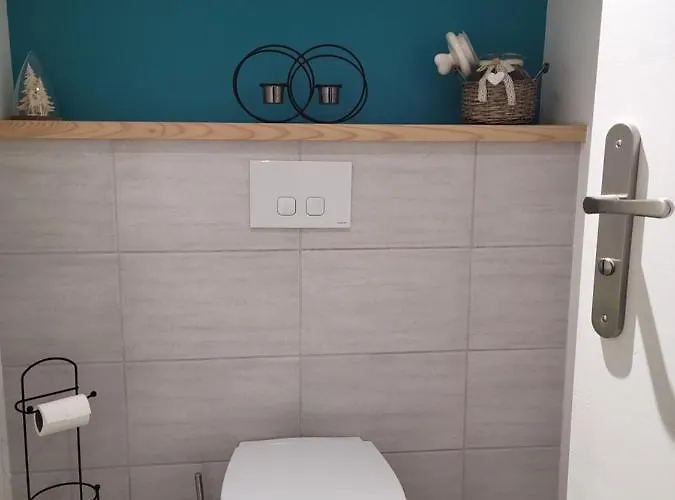 La Ferme Du Badon Апартаменты Жерарме