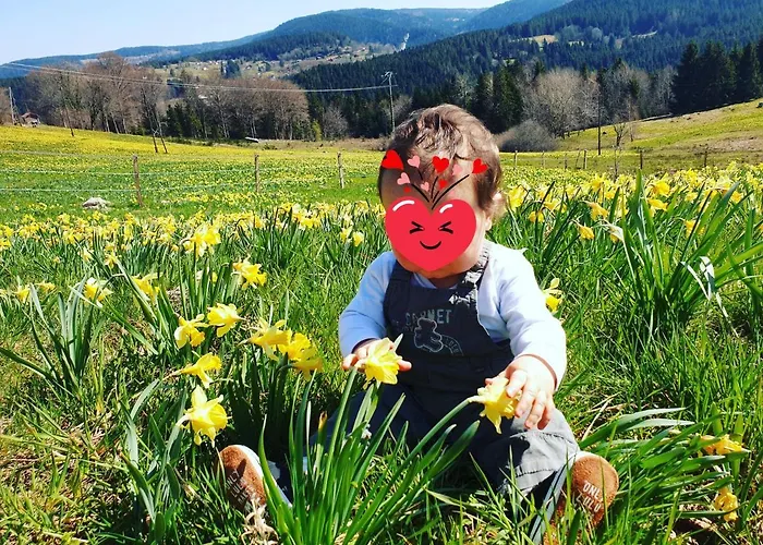 La Ferme Du Badon * Жерарме