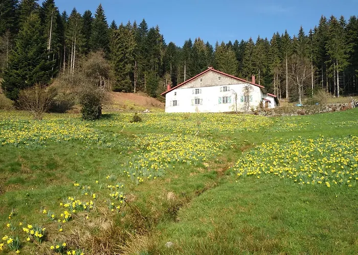 Апартаменты La Ferme Du Badon *