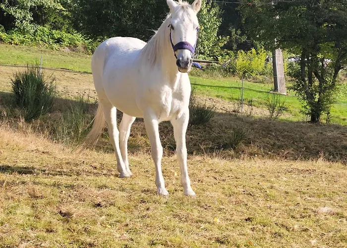 La Ferme Du Badon Апартаменты