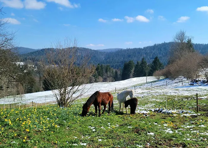 아파트 La Ferme Du Badon 제라르메르