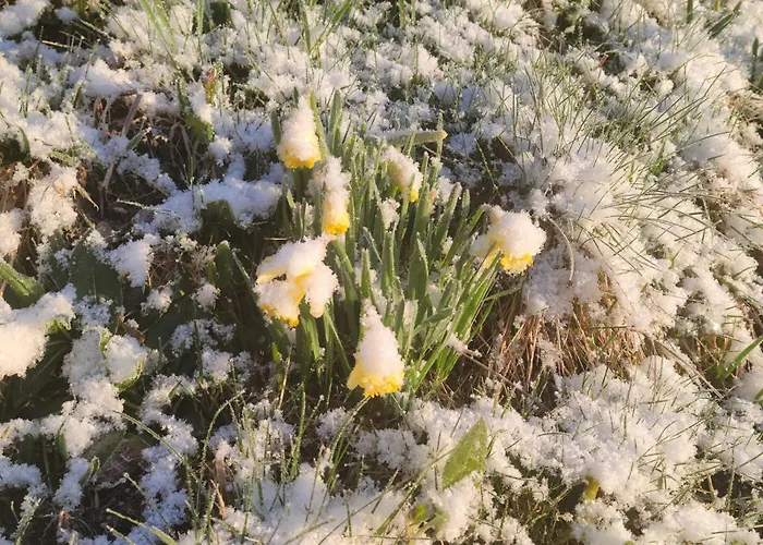 Апартаменты La Ferme Du Badon