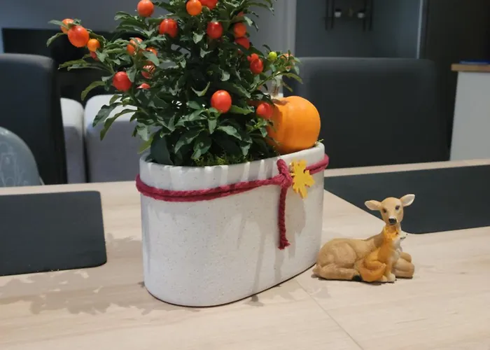 La Ferme Du Badon Апартаменты